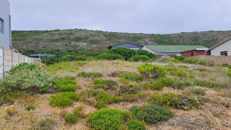 0 Bedroom Property for Sale in Jongensfontein Western Cape